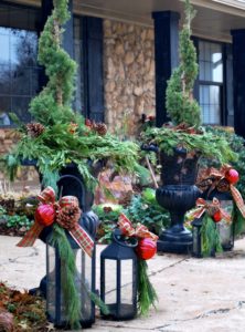 Holiday Container Gardens